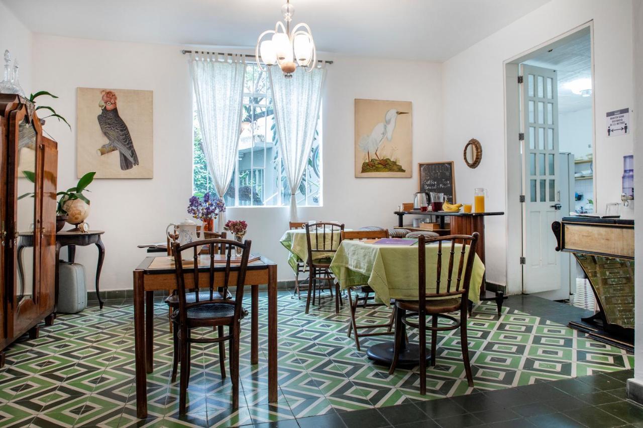 מקסיקו סיטי Stella Bed & Breakfast מראה חיצוני תמונה